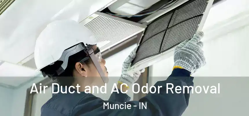  Air Duct and AC Odor Removal Muncie - IN