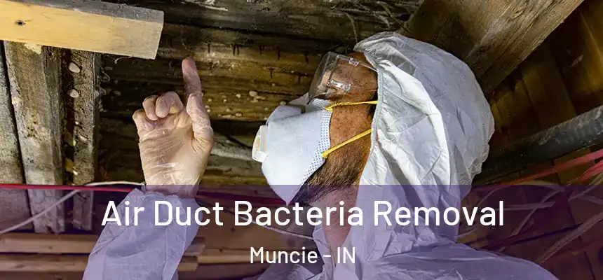  Air Duct Bacteria Removal Muncie - IN