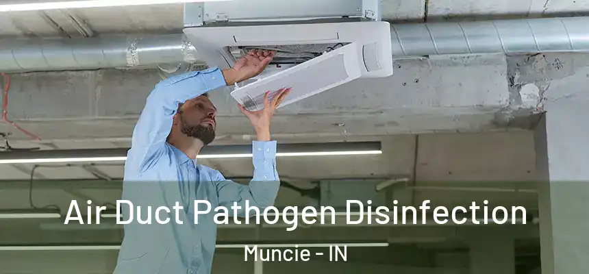  Air Duct Pathogen Disinfection Muncie - IN
