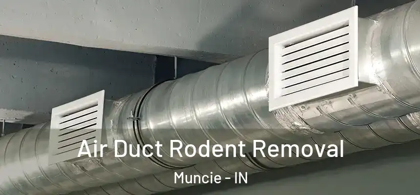  Air Duct Rodent Removal Muncie - IN