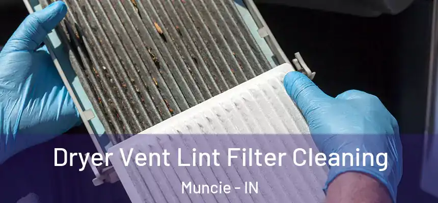 Dryer Vent Lint Filter Cleaning Muncie - IN