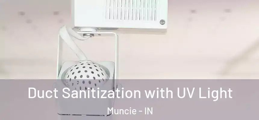 Duct Sanitization with UV Light Muncie - IN