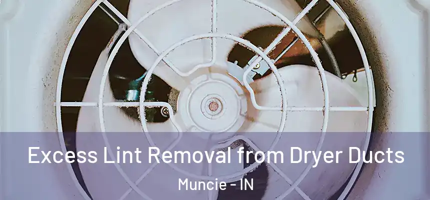 Excess Lint Removal from Dryer Ducts Muncie - IN