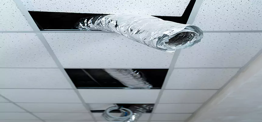 Our Air Duct Pet Hair Removal Services in Muncie, IN