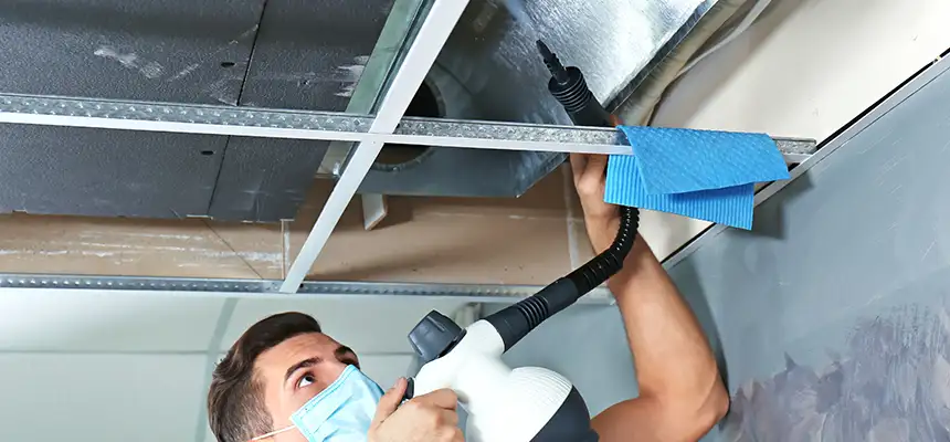 Our Air Duct Rodent Removal Services in Muncie, IN