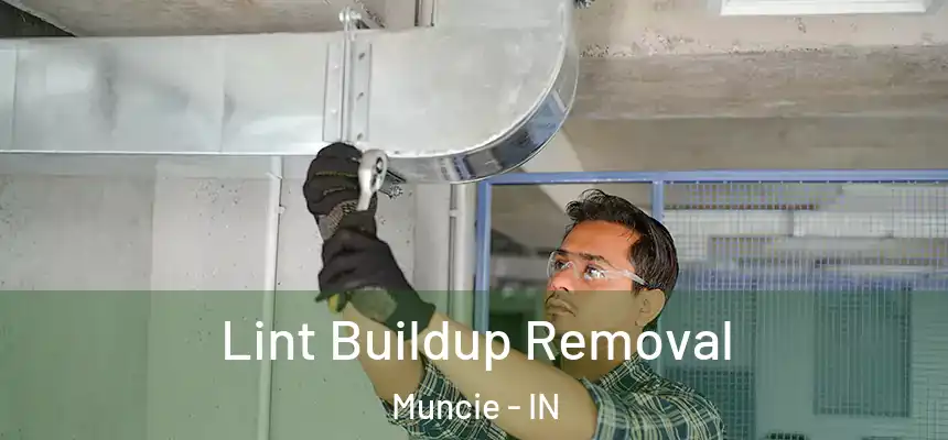 Lint Buildup Removal Muncie - IN