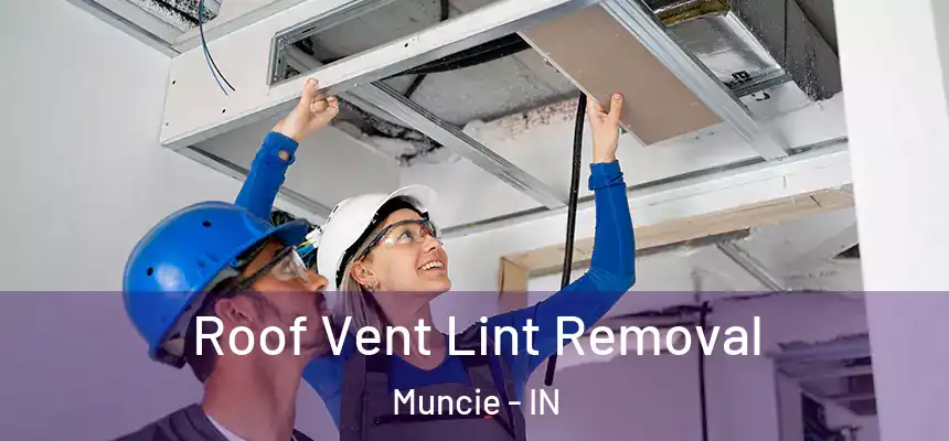  Roof Vent Lint Removal Muncie - IN