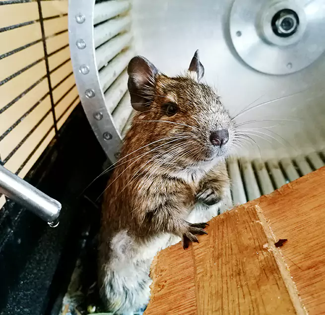 Why Homeowners & Businesses Trust Us Muncie, IN